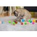 40 Count Plastic Ball Cat Toys with Bell - Assorted Colors - 10 Types - Gift Box Included - Buy Online on GoSupps.com