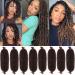Leeven 24 Inch Pre-Separated Springy Afro Twist Hair 8 Packs Popping Spring Twist Hair for Marley Locs Braiding Hair 10 Strands/Pack Black Pre-fluffed Afro Kinky Curly Natural Hair Extensions /T30# 24 Inch (Pack of 8) T30#