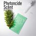 STICK'N FRESH Phytoncide Scented Patch Stickers - 4 Packs x 6 Patches | Natural Essential Oil Aroma for Face Mask, Pillow & More - Buy Online on GoSupps.com