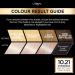 L'Oreal Paris Preference 10.21 Stockholm Hair Dye - Long-Lasting Luminous Permanent Colour - Buy Online on GoSupps.com