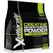 Creatine Monohydrate Powder Micronised - 1kg - 200 Servings 7 Month Supply - Finest Grade Pure & Unflavoured - Sports Vegan Powder - Made in The UK by Xellerate Nutrition