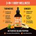 360 Nutrition Turmeric Ginger Supplement Drops - Vegan Curcumin with Black Pepper - Gut Health, Joint Support, Digestion - Keto-Friendly - Caffeine-Free - 4 fl oz (60 Servings) - Buy Online on GoSupps.com