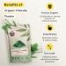 Organic Chlorella Powder 75g - Broken Cell Wall Immunity Support | Earths Basket - Buy Online on GoSupps.com