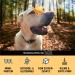 Buy Chewies Training Bats - Grain-Free Sugar-Free Monoprotein Chicken Dog Treats - Soft Healthy & Eco-Friendly - Made in Germany (6 x 175g) - Buy Online on GoSupps.com