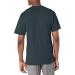 Champion Classic Unisex Cotton T-Shirt for Men & Women - Granite Heather (Reg. or Big & Tall) - Buy Online on GoSupps.com