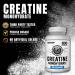 Ekkovision Creatine Monohydrate Capsules Micronized Unflavored Creatine Supplement for Men & Women Pre Workout & Post Workout Support Easy-to-Swallow 800 Capsules 200 Servings - Buy Online on GoSupps.com