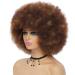 GKtineke 10 Inch Afro Curly Wig with Bangs for Black Women- Short Kinky Synthetic Hair Wig (Mixed Brown) - Buy Online on GoSupps.com