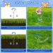 Dog Tie Out Cable and Stake 15FT Dog Runner Cable with Dog Yard Stake Long Dog Chains for Outside with Spring Dog Lead Take with Long Yard Leash Tie Out Tether for Medium Large Dogs Camping - Buy Online on GoSupps.com