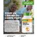 Digestive Enzymes - 180 Capsules with 16 Enzymes Plus Betaine HCL Rutin & Gentian Root - With Bromelain Papain Amylase Lipase Protease Lactase - Vegan - Highly Dosed - Buy Online on GoSupps.com