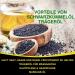 P-Beauty Black Cumin Oil Drops Hair & Skin 3x60ml Cold Pressed Care Oil Strengthens Immune System Promotes Hair Growth For Anti-Aging & Acne - Buy Online on GoSupps.com