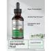 Sarsaparilla Root Liquid Extract - 2 fl oz | Alcohol-Free, Vegetarian, Non-GMO & Gluten-Free | Horbaach - Buy Online on GoSupps.com