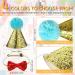Leawits 8-Piece Cat Birthday Hat & Bow Tie Set for Cats and Small-Medium Dogs - Adjustable Collar, 4 Colors - Buy Online on GoSupps.com