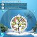 Portable Pill Organizer - 3 Compartment Medicine Pill Box | Decorative Tree of Life Design | Ideal Gift for Vitamins & Medications - Buy Online on GoSupps.com