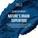 Orlo Blue Essence - Liquid Blue Spirulina with Phycocyanin Extract & Bioactive Methylcobalamin B12 Vitamin - Methylene Alternative - Natural Vegan Superfood - Clean Bioavailable Formula 50 ml - Buy Online on GoSupps.com