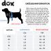 DDOXX Nylon Step-In Dog Harness - Adjustable Yellow Puppy Harness for All Sizes - L (65-99 cm) | International Shipping Available - Buy Online on GoSupps.com