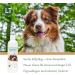 Buy Dog Shampoo Nowater | Bio & Gentle Care for Water-Shy Dogs | No Rinse No Soap 250ml - Buy Online on GoSupps.com
