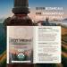 HerbEra West Virginia Herbal Detox Blend - USDA Organic Extract Made in USA | Immune & Liver Support Liquid Drops | Amla Dandelion Root Eleuthero Milk Thistle Mullein Leaf | 2 fl oz - Buy Online on GoSupps.com