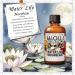 HIQILI 100ML Tea Tree Essential Oil & 30ML Water Lily Moonbeam Fragrance Oil for DIY Diffuser - Buy Online on GoSupps.com