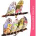 Nuanchu 6 Pieces Bird Diaper Washable Parrot Diapers Reusable Bird Flight Suit Diaper Waterproof Inner Layer Protective Parrot Nappy Clothes for Parakeet Parrot Mini Macaw Budgie Canary  Fruit Style Medium - Buy Online on GoSupps.com