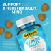 6-in-1 Stress Relief Gummies 60ct with Ashwagandha, GABA, and L-theanine for Relaxation and Improved Sleep - Immunity and Wellness Support - Buy Online on GoSupps.com