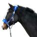 Halter for horses Fur halter lined halter blue in the sizes xfull halter pony cob warmblood (pony blue) pony blue