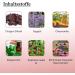 ELIAH SAHIL Huile Buccale Bio au Sang-Dragon et la Sauge Bain de Bouche Naturel pour des Dents Saines et une Haleine Fra che Vegan Certifi e Bio Emballage 100% Recyclable - Buy Online on GoSupps.com