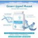 Pure New Zealand Green Lipped Mussel 500mg 90 Capsules - CO2 Extracted, Sustainably Sourced | No Mixers, Binders, Fillers - Buy Online on GoSupps.com
