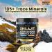 Organic Shilajit Gummies Sea Moss Ashwagandha 105+ Trace Minerals Organic Burdock Root & Lions Mane Mushroom - Blue Razz Vegan & Non-GMO Made in USA 60ct - Buy Online on GoSupps.com