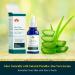 Natural Paradise 20% Vitamin C Face Serum - Anti-Aging Facial Serum With Hyaluronic Acid Aloe Vera & Green Tea 30ml Facial Serum Certified Ingredients Vitamin C Serum For Face - Made In Canada - Buy Online on GoSupps.com