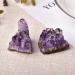 1PC Natural Amethyst Crystal Cluster Quartz Raw Crystals Stone Decoration Ornament Purple Feng Shui Stone Ore Stone Mineral Specimen - Buy Online on GoSupps.com