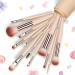 DA VINCI Eyeshadow Applicator - Vegan Long-Lasting 1 Piece - International Shipping Available - Buy Online on GoSupps.com