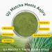 Uji Matcha AOJIRU Matcha d Uji et th vert en poudre poudre de jeunes feuilles d orge 100% cultiv au Japon 30 sachets unidoses de 3 g (0 1 oz) Sans gluten - Buy Online on GoSupps.com