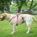 Belpro Multi-Purpose Dog Harness for Large Dogs No Pulling Reflective Adjustable Vest with Durable Handle XL Pink (1 Pack) - Buy Online on GoSupps.com
