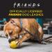 Friends TV Show Iconic Graphics Dog Leash - 6ft Puppy Lead for Dog Walking - Buy Online on GoSupps.com
