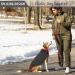 Cit toile Warm Dog Sweater | Turtleneck Knitting for Autumn/Winter | Stylish Puppy Coat with Linen Holes | Gray Large Size for Small to Medium Pets - Buy Online on GoSupps.com