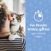 PetArmor Ear Rinse 4 oz for Dogs & Cats - Gentle Ear Cleaning Solution - Buy Online on GoSupps.com