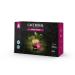 Caf Royal Lungo Forte 50 Nespresso Pro compatible capsules (intensity 6/10) 1 pack (1 x 50 pads) Lungo Forte Pro 50 Caps