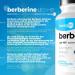 Berberin - Leo -HB 4x Bioavailability - Metabolism & Blood Sugar Support - 90 Capsules - Made in France - International Shipping - Buy Online on GoSupps.com