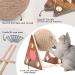 Interactive Sisal Rope Cat Scratching Ball Toy with Solid Wood Base - Medium Size - Buy Online on GoSupps.com