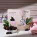 Stemcell Fairness Facial Kit | Alp Rose & Mulberry | All Skin Types | International Shipping - Buy Online on GoSupps.com