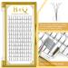 Premade Fans Eyelash Extensions 5D-D-0.10-14 - B&Q LASH Volume Fan Lashes 14mm 5D-D-0.10 - Buy Online on GoSupps.com