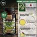 Buy Quercetin Supplement - Pure Sophora Japonica Extract for Immune Support | International Shipping Available - Buy Online on GoSupps.com