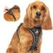 Elite Paws UK: Premium Metal Buckle Dog Harness Strong Safe Padded Comfortable Adjustable Reflective Front/Back Lead Attachments Soft Handle Pet Walking Vest/Training Product (Black Medium) M - (Neck: 34-55cm / Chest: 52-74cm) Black