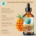 Shop Bella Terra Oils Sea Buckthorn Oil - 1 Gallon | Nourishing Skin & Hair | Radiant Glow | Non-Greasy | International Shipping - Buy Online on GoSupps.com