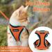 Rabbitgoo Breakage-Proof Cat Dishes & Harness Sets | Durable Cat Gear for International Shipping - Buy Online on GoSupps.com