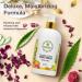 Aromatherapy Luxury Liquid Hand Soap - Vegan & Moisturizing with Aloe Vera & Citrus - 16 Oz Hand Wash for Bathroom & Kitchen - Buy Online on GoSupps.com