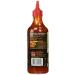 Exotic Sweet and Sour Sauce - 455 ml PET Bottle - Authentic International Flavor - 1 Pack - Buy Online on GoSupps.com
