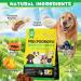 Probiotics for Dogs Pre & Probiotic Digestive Treats for Dogs Support Gut Health Digestive and Immunity Boost Heatlth & Energy for All Ages and Breeds 60 Chews Duck Flavor - Buy Online on GoSupps.com