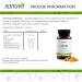 Sanuvit Curcuma Extract 450 mg - 90 Vegan Capsules | High Dose Curcumin C3 Complex | Superior Bioavailability & Tolerance | International Shipping - Buy Online on GoSupps.com