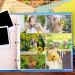 60 Pcs Graduation Scrapbook Refill Pages 12 x 12 Inches Photo Album Protective Sleeves Clear Scrapbook Page Sheet Protectors Scrapbooking Album Refills for 3 Ring Binders (4 x 6'' Landscape) - Buy Online on GoSupps.com
